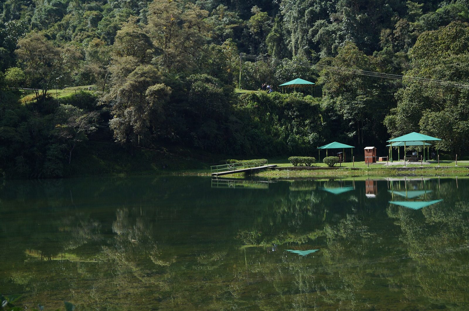 La Laguna de los Cedros, en Boconó, con el bosque reflejado en el agua quieta